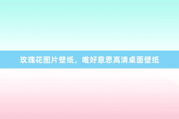 玫瑰花图片壁纸，唯好意思高清桌面壁纸