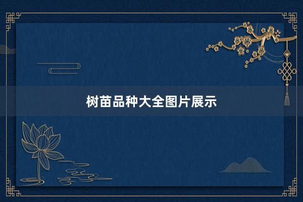 树苗品种大全图片展示