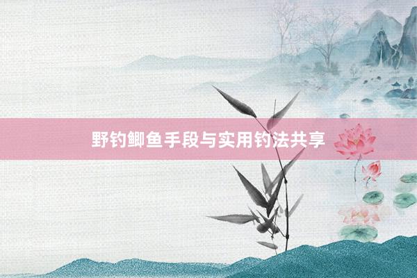 野钓鲫鱼手段与实用钓法共享