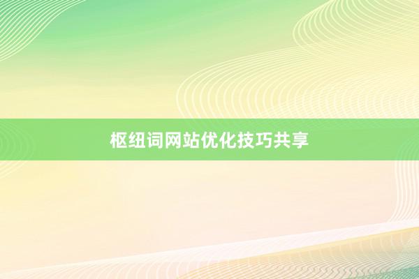 枢纽词网站优化技巧共享
