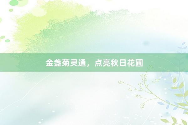 金盏菊灵通，点亮秋日花圃